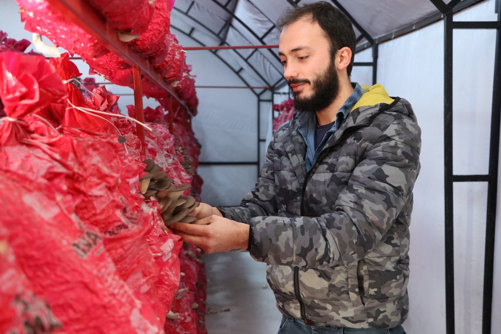 Mühendislik Kariyerini Yarıda Bıraktı, Beykoz’da Mantar Üretimine Başladı